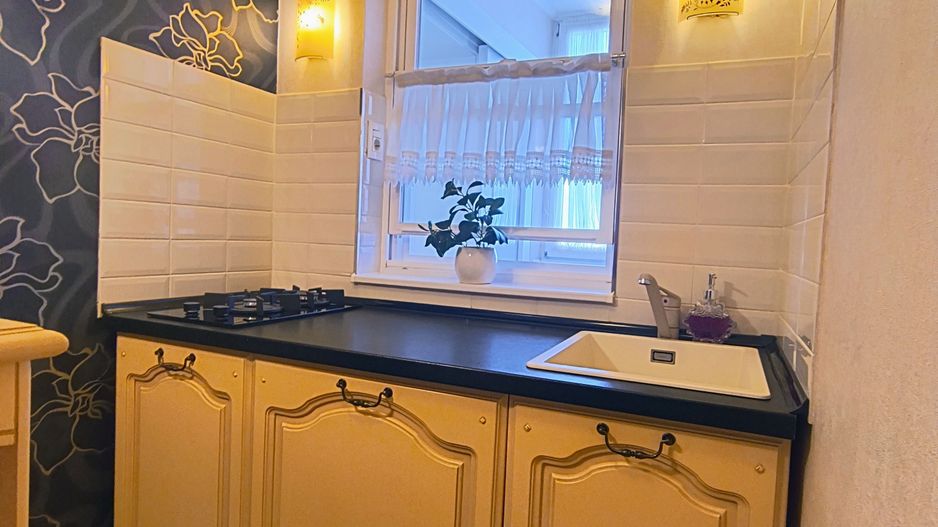 Garsoniera Ion Mihalache- Titulescu- Banu Manta - Poză 10