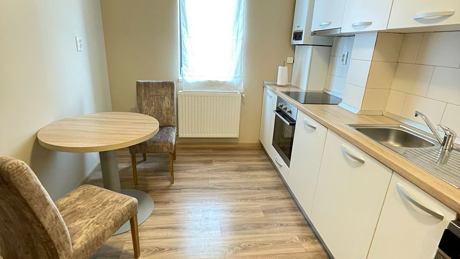 Apartament Modern 2 Camere De Inchiriat | Iulius Mall | Video De Prezentare - Poză 5