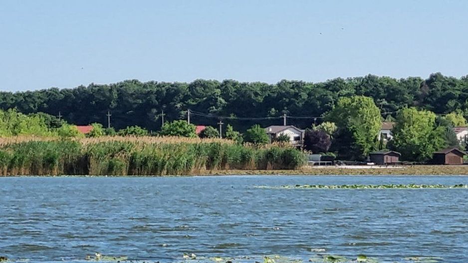 Teren Intravilan Snagov - Poză 2