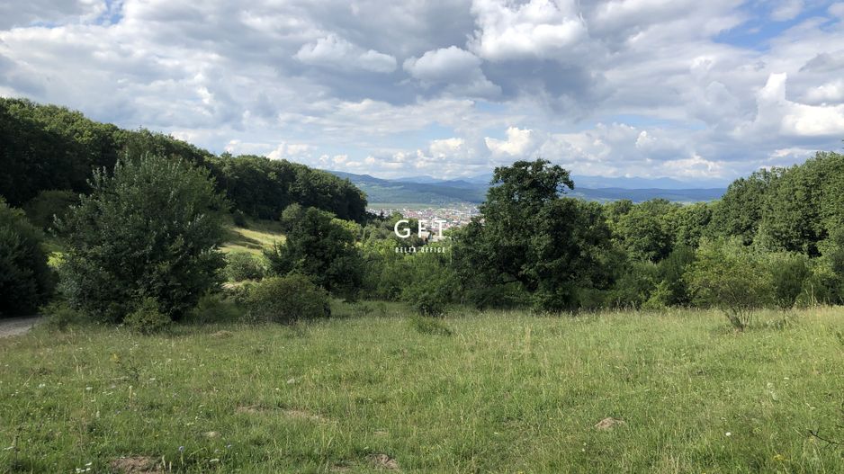 Teren , sub liziera padurii. Str. Tabara, 7 min. de Centru Pietonal - Poză 2