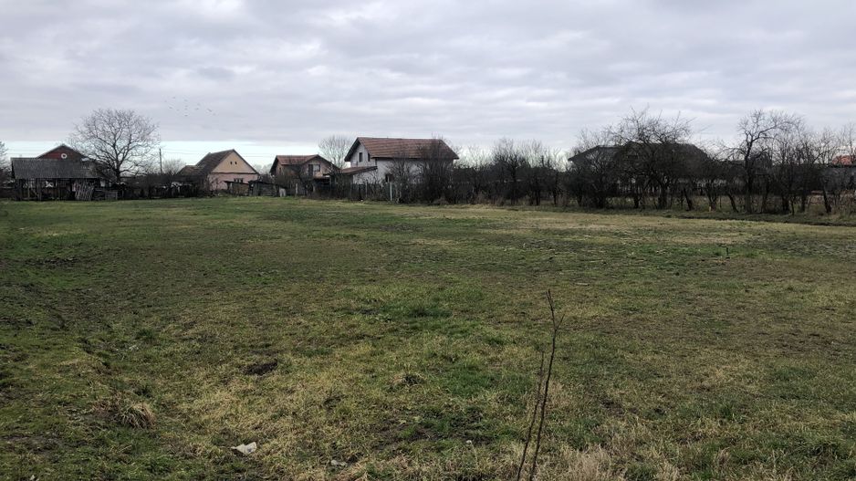 Teren Dragșina -550 mp - Poză 5