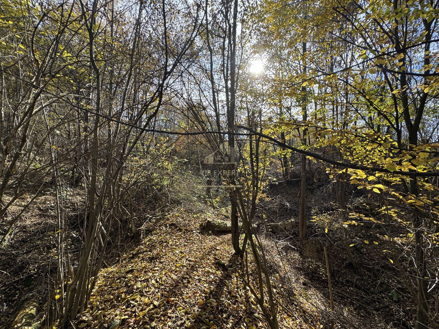 TEREN INTRAVILAN 13167 MP BUGHEA DE SUS ARGES - Poză 17