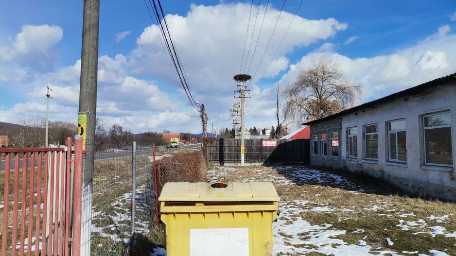 Vanzare hala atelier, stradal, Stalpeni - Poză 16