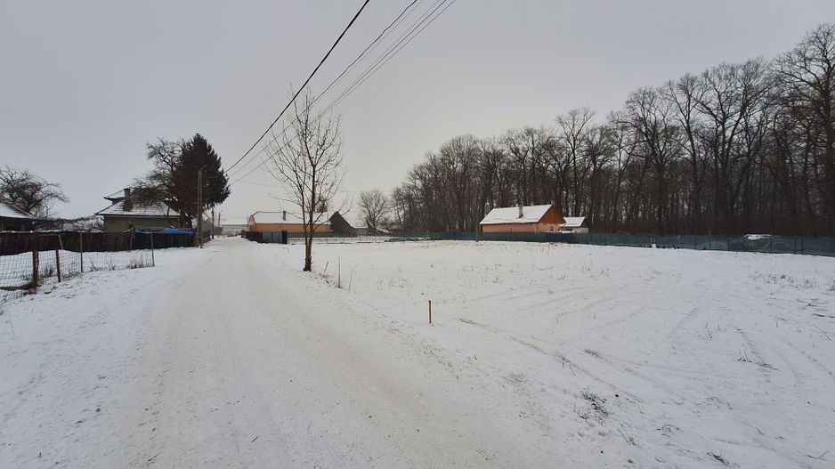 Teren 1000mp intravilan la liziera padurii, acces din drum asfaltat. - Poză 7