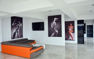 Penthouse de vanzare, 260 mp, Sibiu - Poză 2