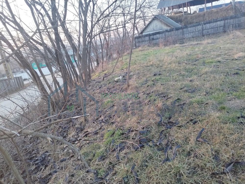 Vanzare teren - zona Ciurea, spre Piciorul Lupului. - Poză 2