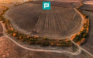 Teren arabil 68,800mp Zimandu Nou - Poză 8