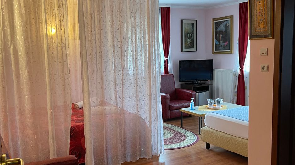 Proprietate in incantarea naturii, oportunitate investitie/rezidential, Predeal - Poză 41