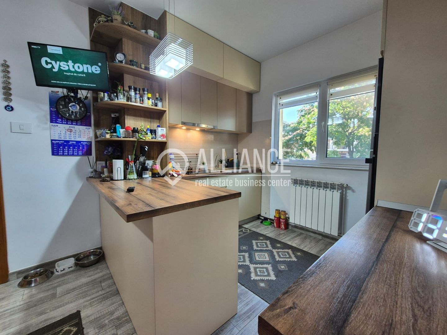 TECHIRGHIOL (COD 02) - Casa 5 camere teren 552 mp complet mobilata - Poză 32