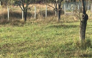 Teren intravilan parcelabil, cartier RAAL , 38 ari - Poză 9