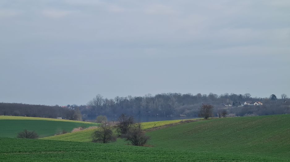 Lot 1000 mp in umbra padurii cu view la lacul academiei din Caciulati - Poză 2