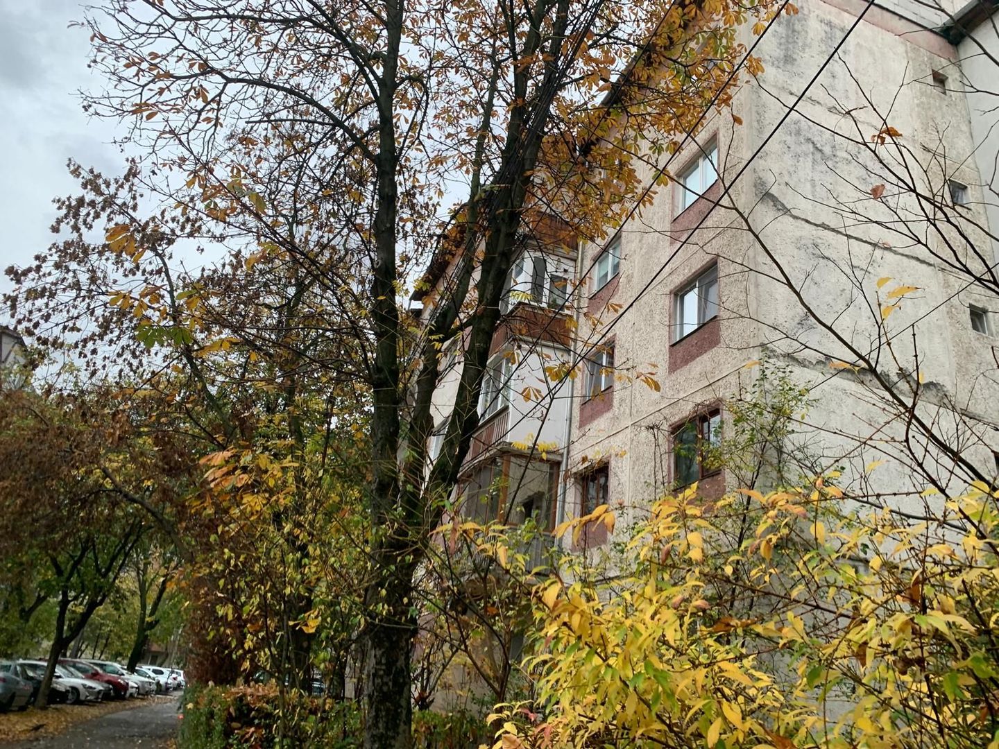 Apartament 3 camere  66 mp in Calea Aradului - Poză 3