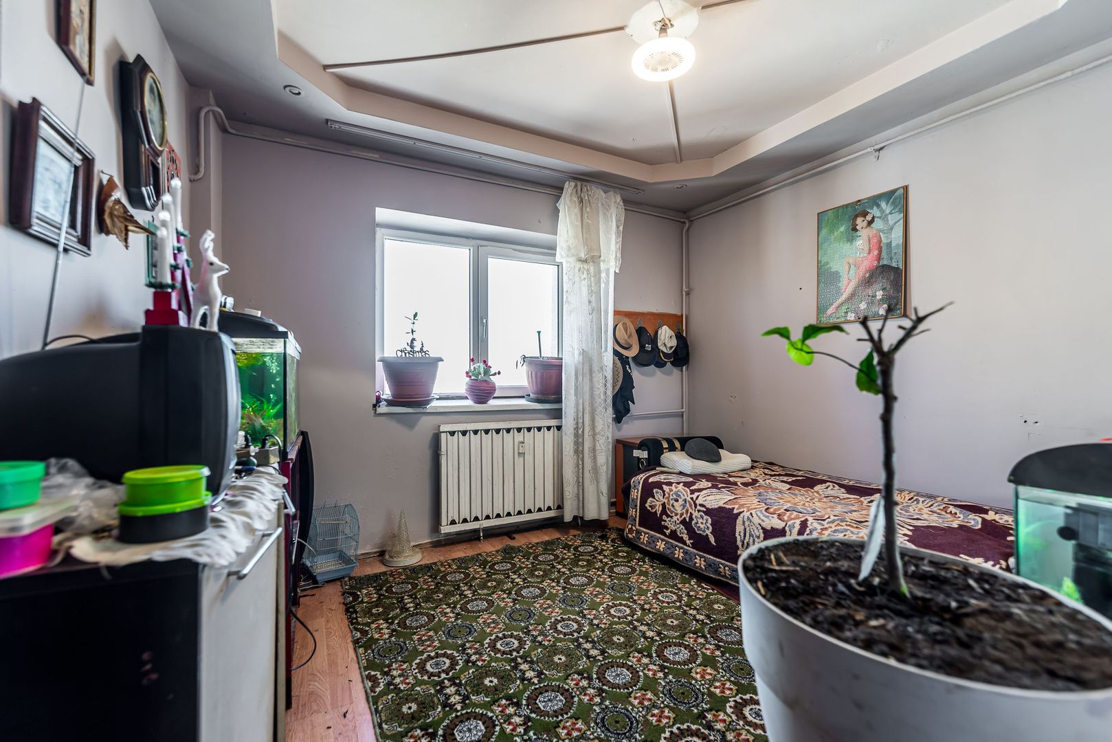Apartament cu 5 camere pe Splaiul General Gheorghe Magheru, Micălaca - Poză 11