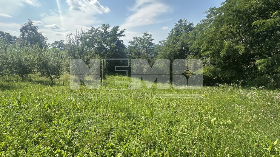 Teren Darmanesti | 41 Ari | 26.500EURO - Poză 5