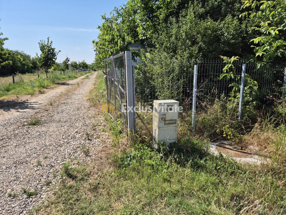 Priveliste spre lac! - Poză 7