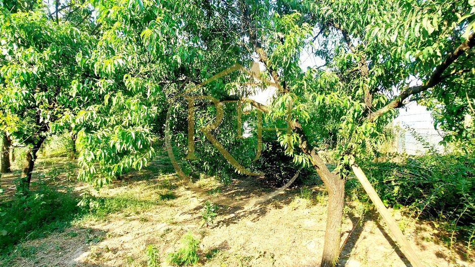 Oferim spre vanzare casa, 6 camere, 162mp utili, 809mp teren, in Giroc - Poză 9