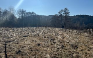 TEREN INTRAVILAN 5000MP, LERESTI, ARGES - Poză 1