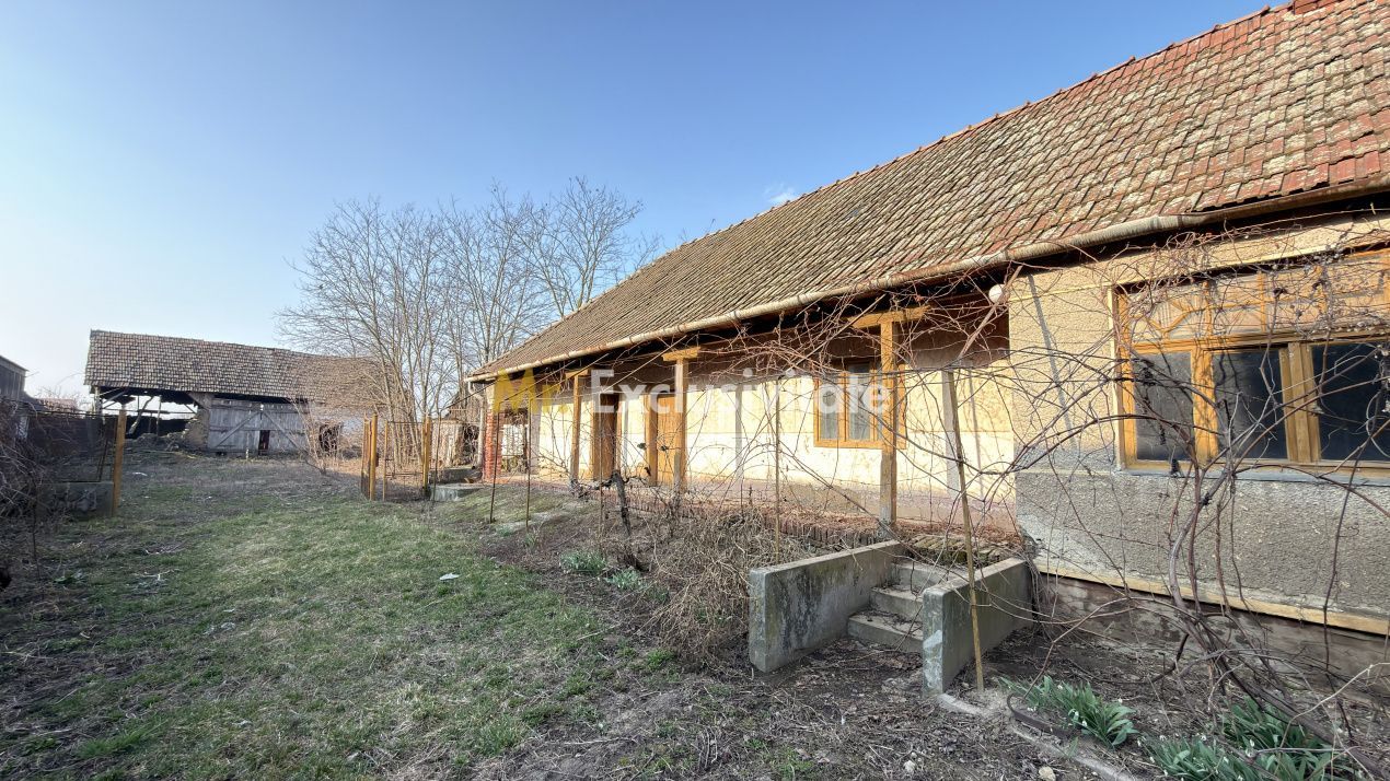 Casă 4 camere, Teren 2.948 mp Tiream SM - Comision 0% cumpărător - Poză 13