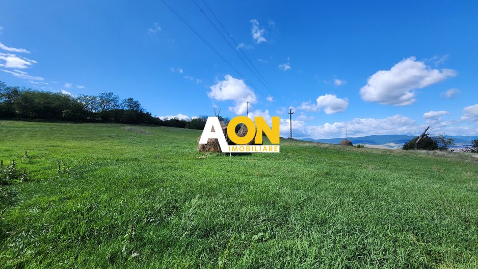 De vanzare 2965 mp teren intravilan, toate utilitatile, Oarda de Sus - Poză 6