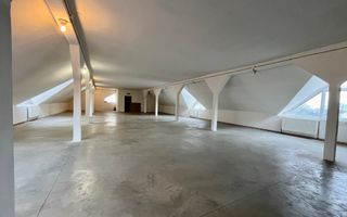 Spațiu Comercial, 400mp Nivel, Cetate - Poză 7
