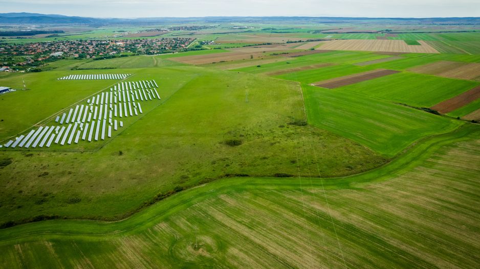 Teren 5383 mp în Frumușeni - Poză 4