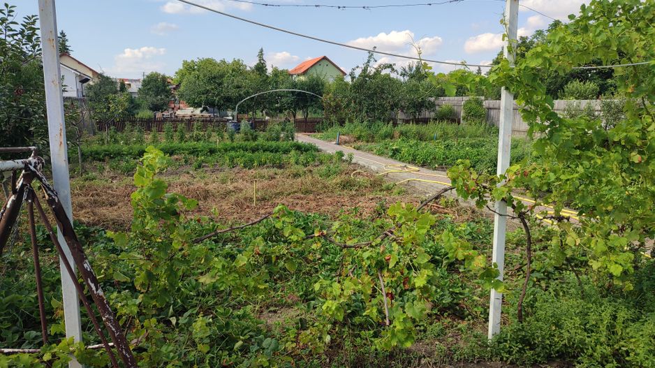 Sanadrei, Individual, Suprafate Generoasa, Garaj, Aspect Deosebit. COMISION 0 - Poză 8