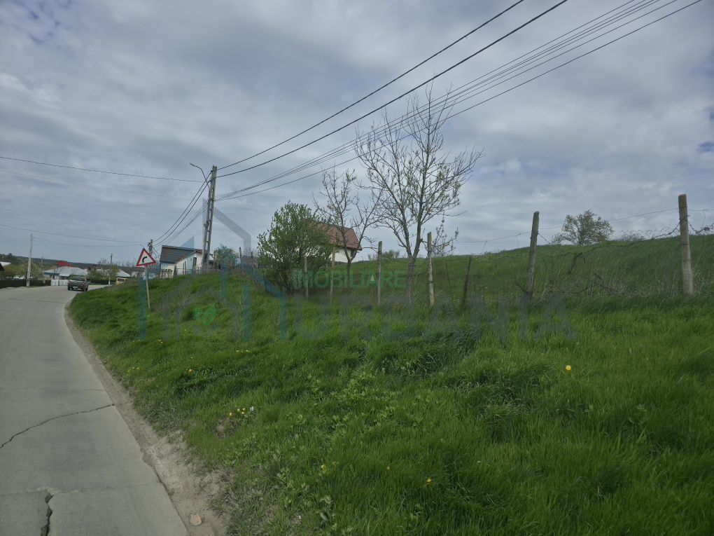 Teren de vânzare în Bogonos, Iași – 6.500 mp cu utilități - Poză 2