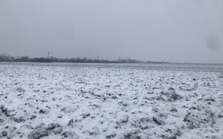 Teren de vanzare comision 0% client - Poză 2