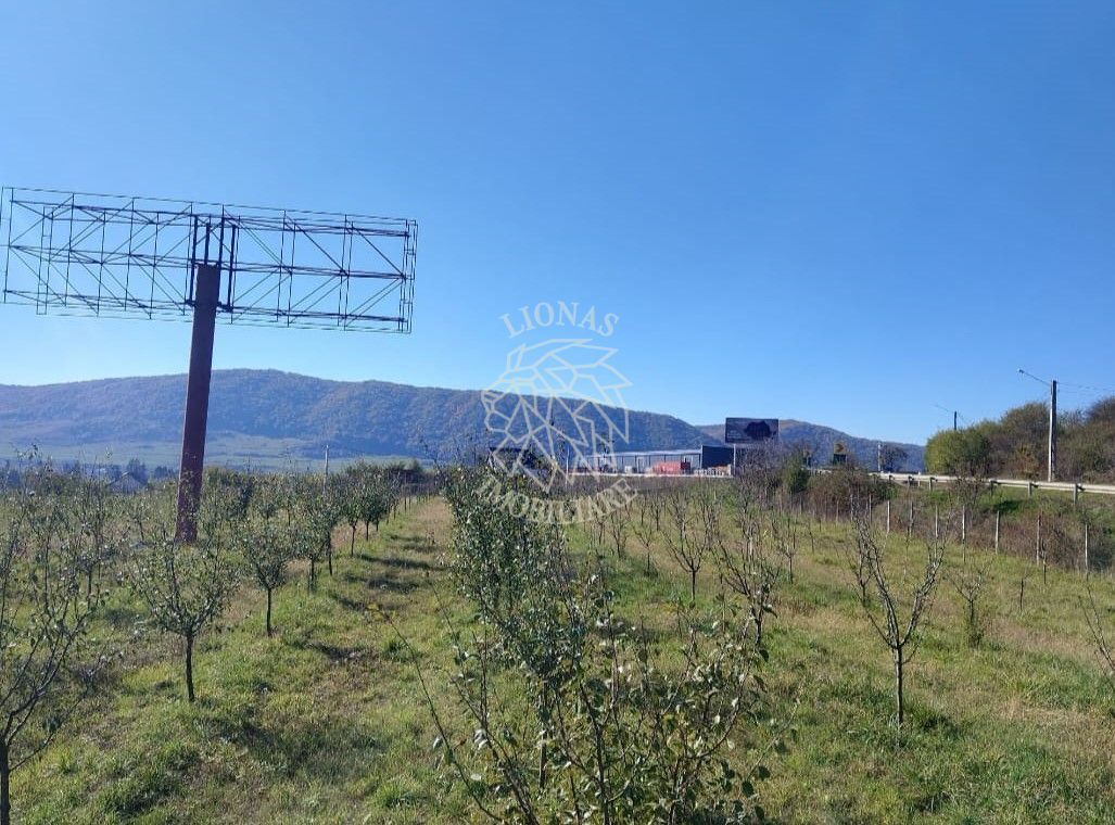 Teren intravilan 1,23 Ha la DN17 cu utilitati-livada-Crainimat - Poză 1