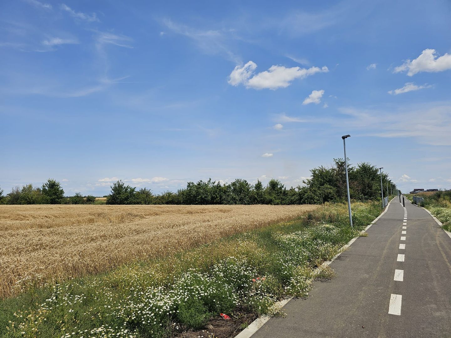 Vanzare Teren Intravilan Buftea, 750mp, str. Ulmului, Pista Biciclete - Poză 1