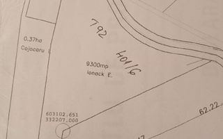 Vand teren intravilan Cozieni - Ganeasa - 9300 mp - Poză 2