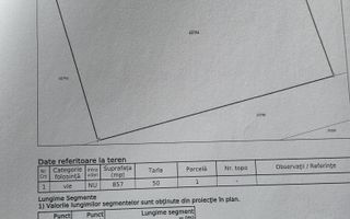 Teren intravilan de vanzare in Valea Lupului, Strada Rubinului - Poză 3