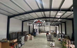 NECTORA IMOB-Hala industriala NOUA 2025, 590 mp util + 3000 mp teren - Poză 1