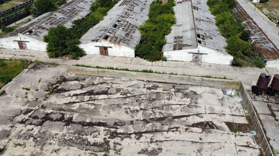Spațiu industrial -fermă Orțișoara - Poză 19