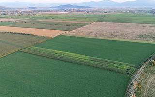 Teren extravilan, 8700 mp, pretabil agricultură sau investiție - Bod - Poză 3