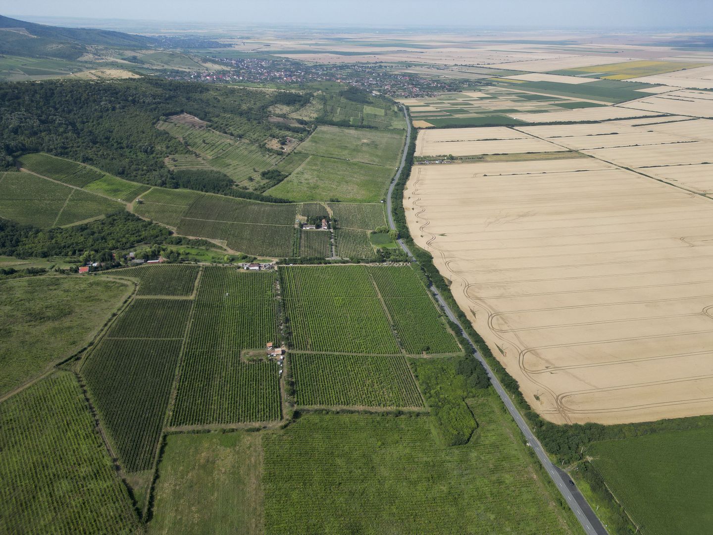 Vie Tradițională „Halta Lupilor” - Poză 32