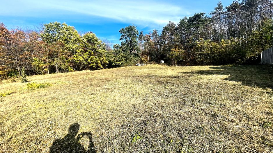 Teren Intravilan 1.157 mp în Băile Felix, Front Stradal 35 ml - Poză 5