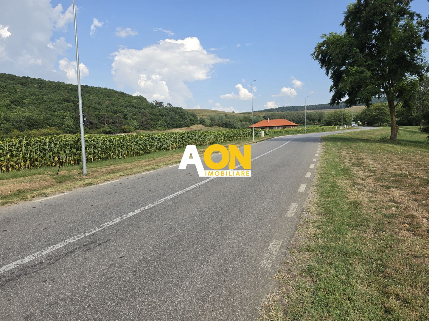 Teren intravilan, 2800 mp, la asfalt,cu utilitati, Hapria, com. Ciugud - Poză 2