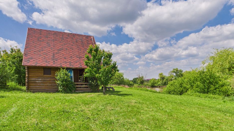 Teren cu baltă- oportunități multiple la Fibiș - Poză 8