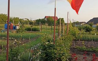Teren intravilan 470 mp – Horlești, Comuna Rediu, județul Iași - Poză 7