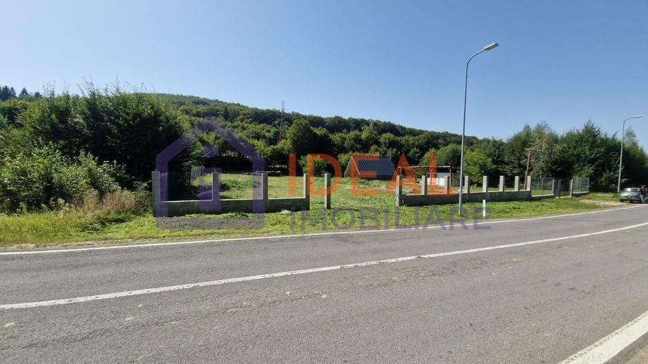 Teren extravilan 2.300 mp – Cârțișoara, județul Sibiu - Poză 3