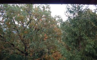 Apartament 3 camere | 2 bai | Renovat | Balcon | V. Aurie - Poză 28