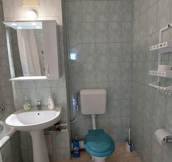Apartament decomandat, panorama parc IOR, etaj 9, renovat - Poză 7