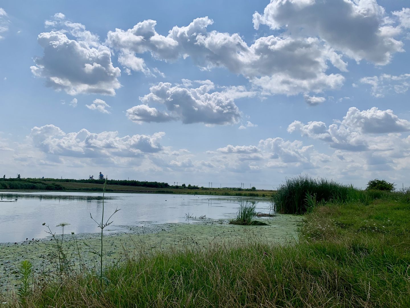 Teren Crevedia 62000 mp - Poză 9