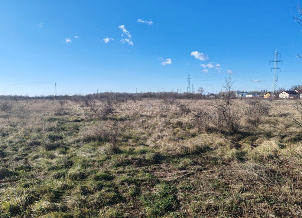 Teren Joita -  Bacu - Dragomiresti - Poză 3