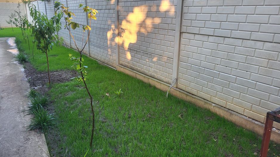 Vila Otopeni Central 5 camere, 400m2 curte, dormitor parter - Poză 10