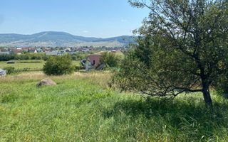 Teren intravilan 1300 mp-parcelabil-Viile cu Pomi-Unirea-Exclusiv - Poză 5