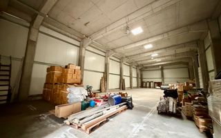 Proprietate industrială de vânzare Otopeni | Hala | Birouri - Poză 8