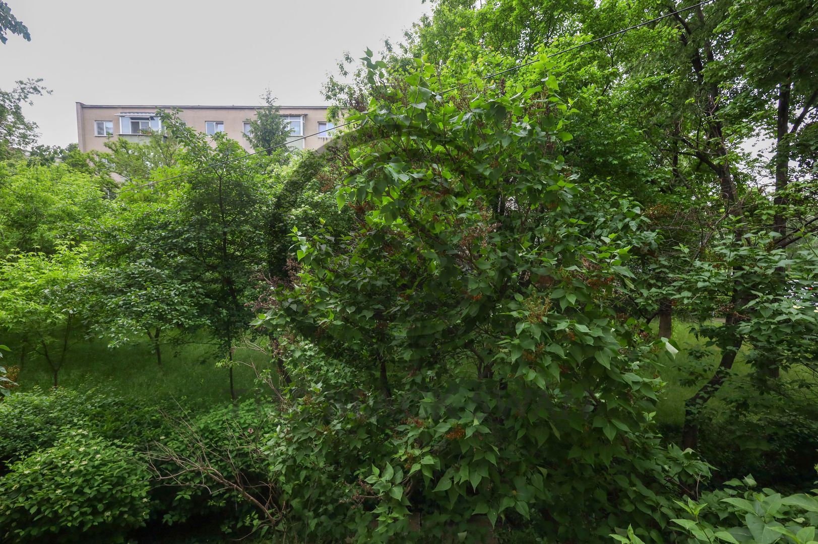 Apartament 2 camere de vanzare | Complet Renovat | Zona Nord, Ploiesti - Poză 15