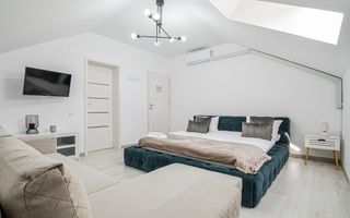 Penisune - Afacere la cheie 9 camere de vanzare la 20km de Cluj-Napoca - Poză 48